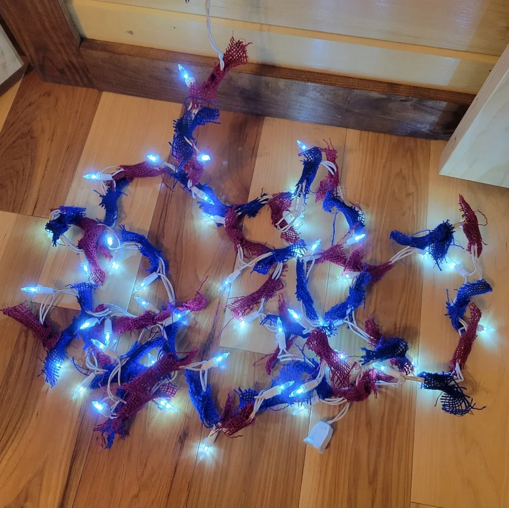 Plug in lights with red and blue garland